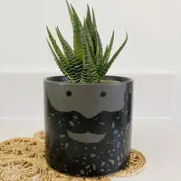 USTUDIO Bernard Bearded Face Plant Pot Large